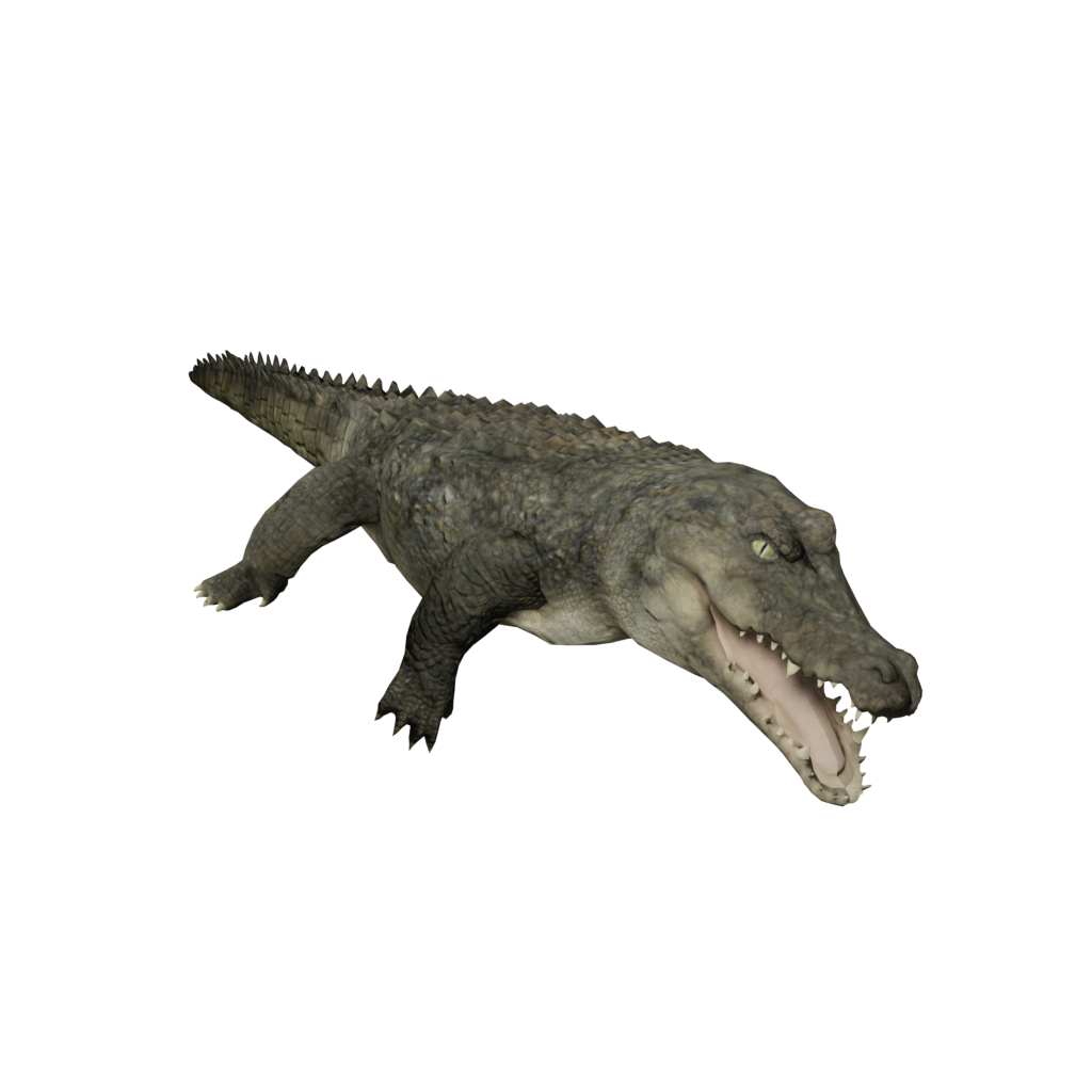 Icon_Crocodile