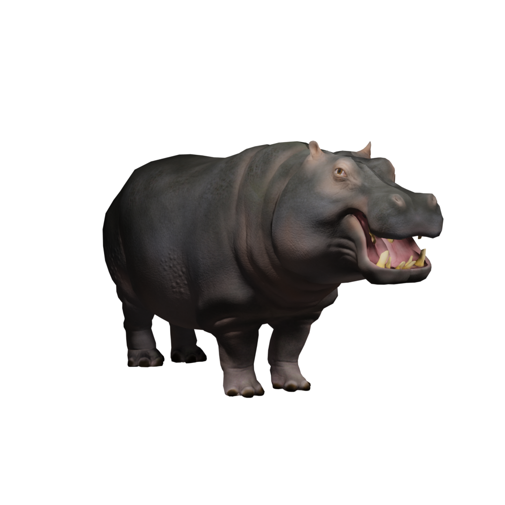 Icon_Hippopotamus